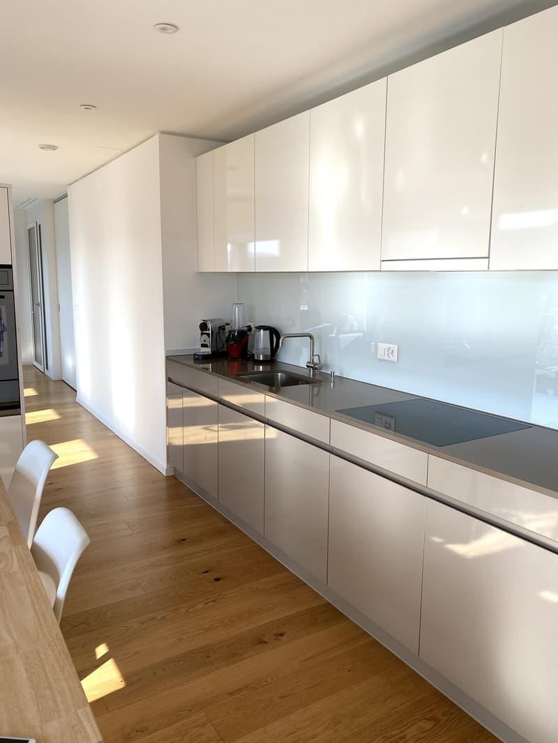 WG Zimmer in Luxus Apartment in Zürich (3)