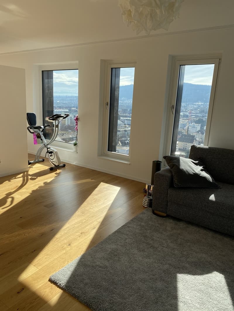 WG Zimmer in Luxus Apartment in Zürich (9)