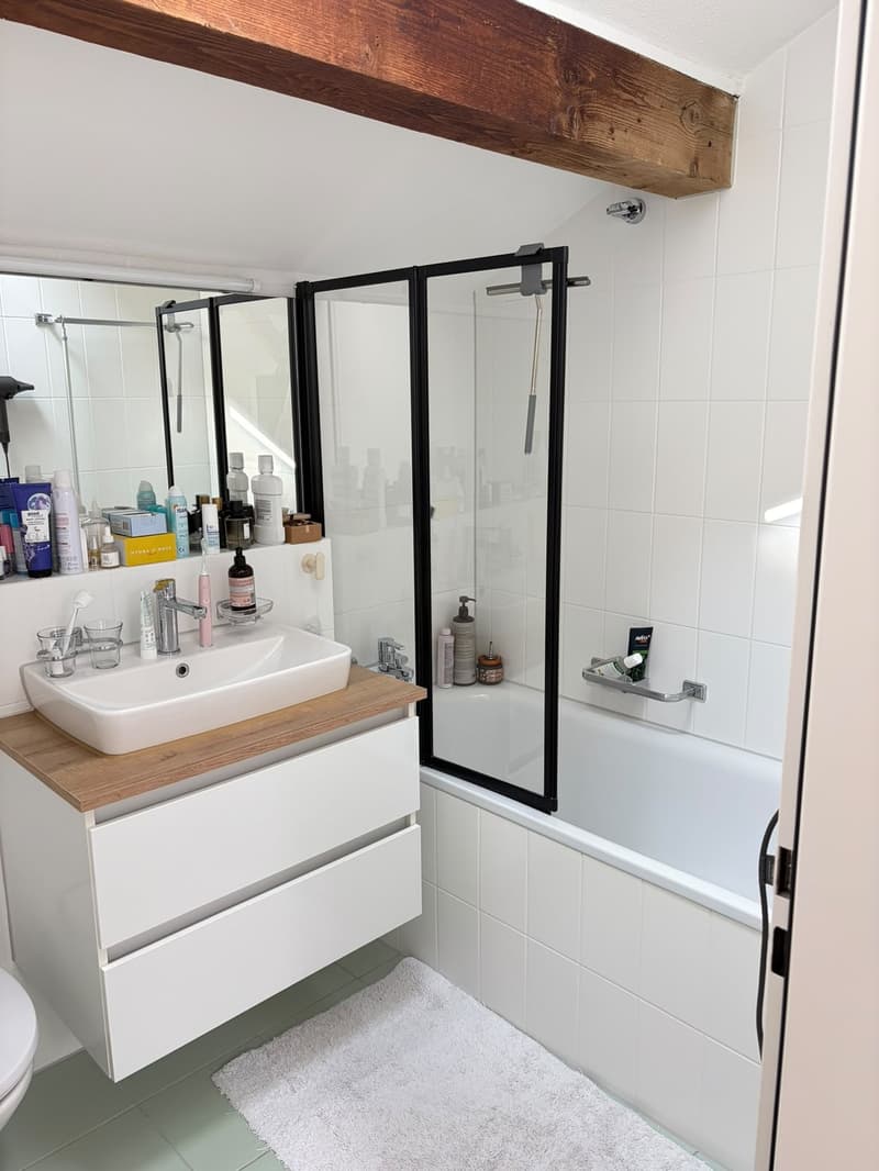 1 ½ Zimmer-Wohnung, 8002 zürich (2)