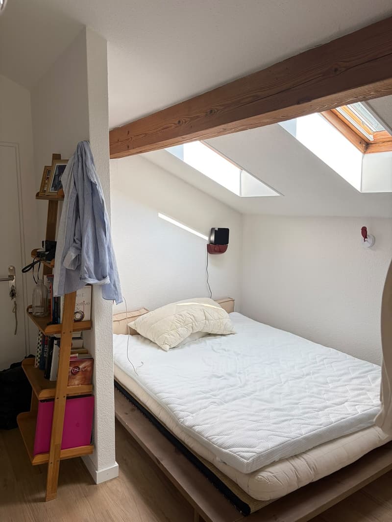 1 ½ Zimmer-Wohnung, 8002 zürich (3)