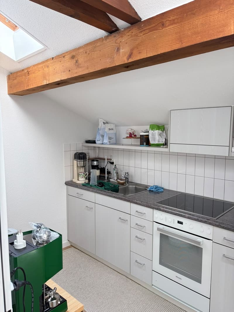 1 ½ Zimmer-Wohnung, 8002 zürich (6)