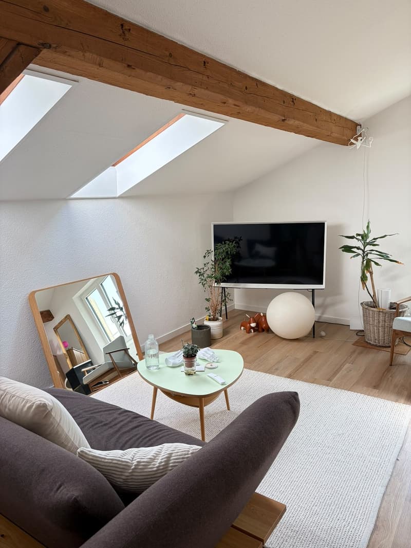 1 ½ Zimmer-Wohnung, 8002 zürich (4)