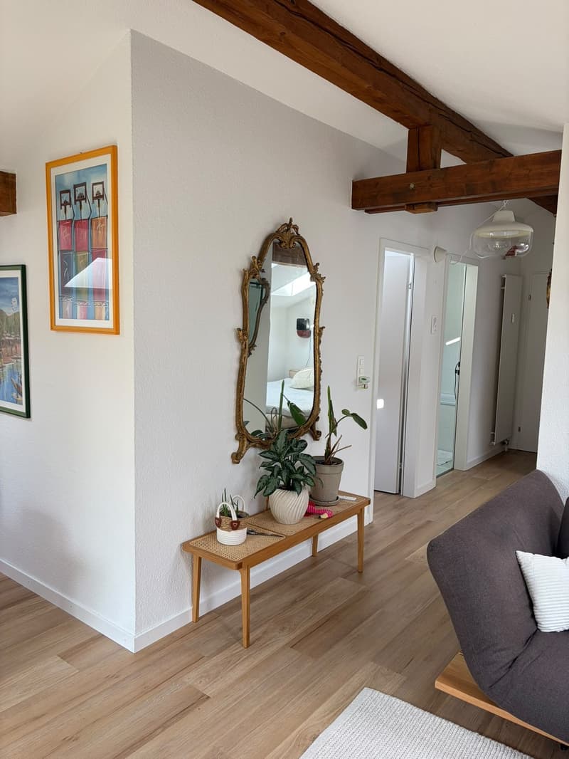 1 ½ Zimmer-Wohnung, 8002 zürich (5)