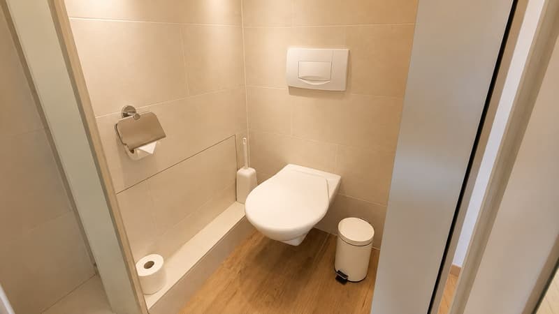 Sunny, freshly renovated and furnished living studio in Liebefeld, just 10 minutes from the center of Bern (6)