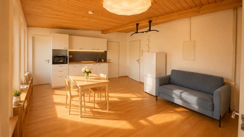 Sunny, freshly renovated and furnished living studio in Liebefeld, just 10 minutes from the center of Bern (2)