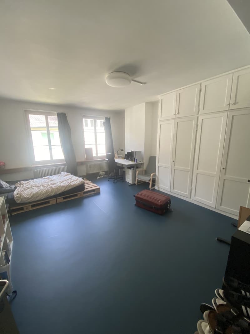 Zimmer in 8er WG in der Winterthurer Altstadt (8)