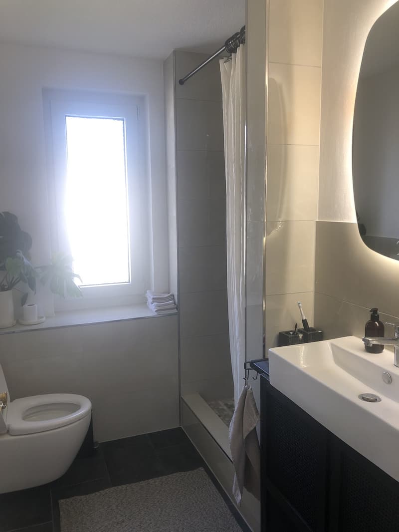 Beautiful room in a central and bright apartment (3)