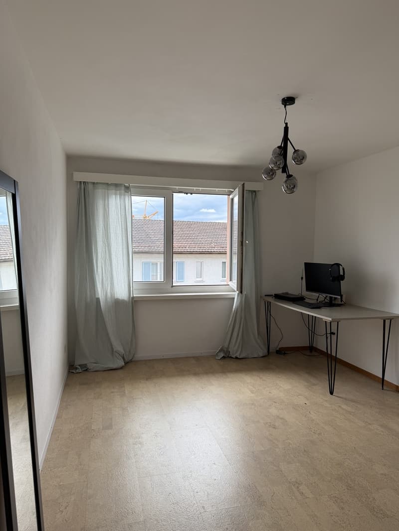 Beautiful room in a central and bright apartment (1)