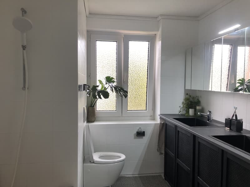 Beautiful room in a central and bright apartment (5)