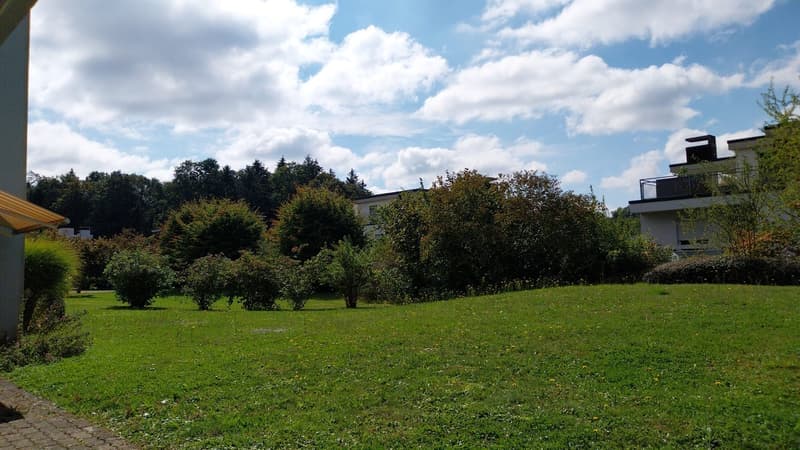WG in (Birmensdorf Haslen) Uitikon Waldegg area/next to Triemli (edge of Zürich city) (4)