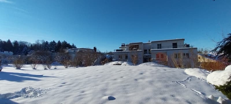 WG in (Birmensdorf Haslen) Uitikon Waldegg area/next to Triemli (edge of Zürich city) (6)