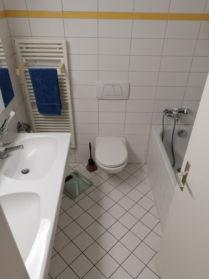 Big Bathroom