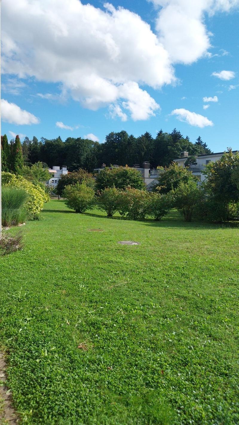 WG in (Birmensdorf Haslen) Uitikon Waldegg area/next to Triemli (edge of Zürich city) (3)