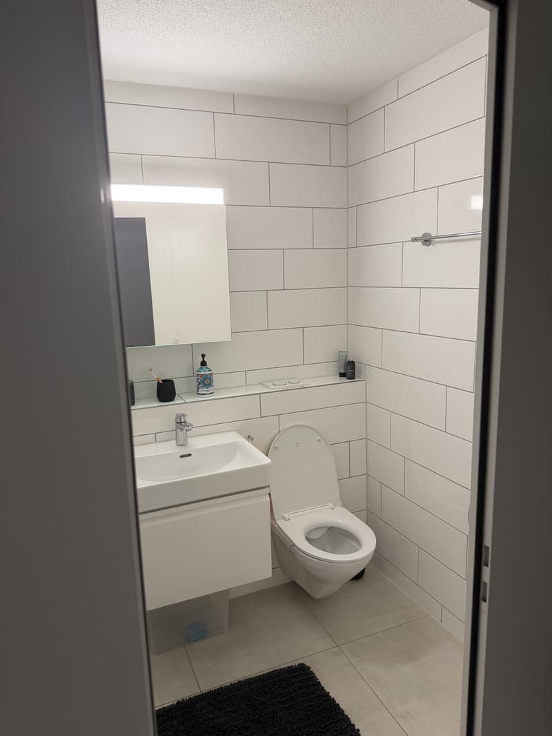 Modern 3.5-room maisonette in Berikon | Fully furnished | Pets allowed (7)