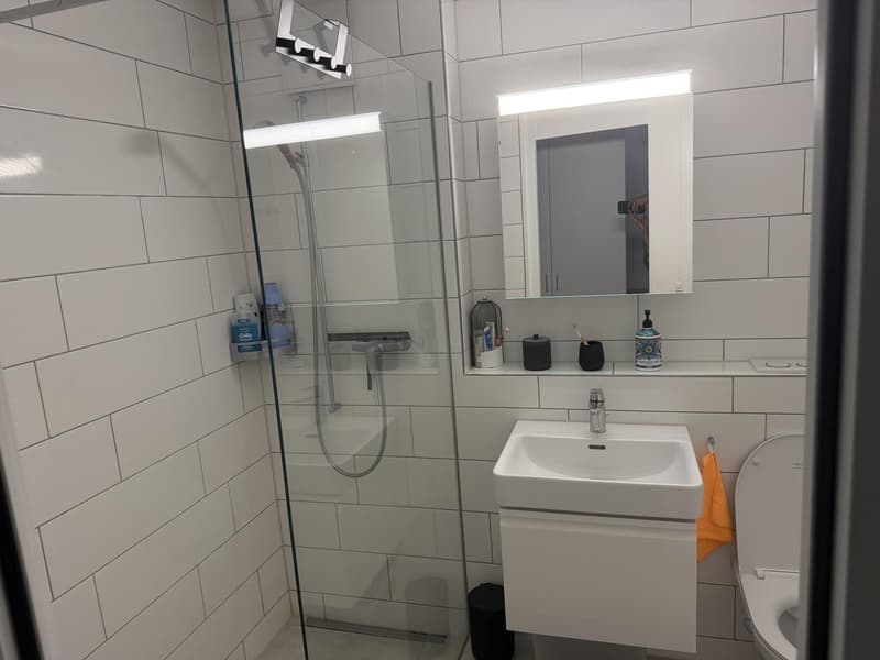 Modern 3.5-room maisonette in Berikon | Fully furnished | Pets allowed (4)