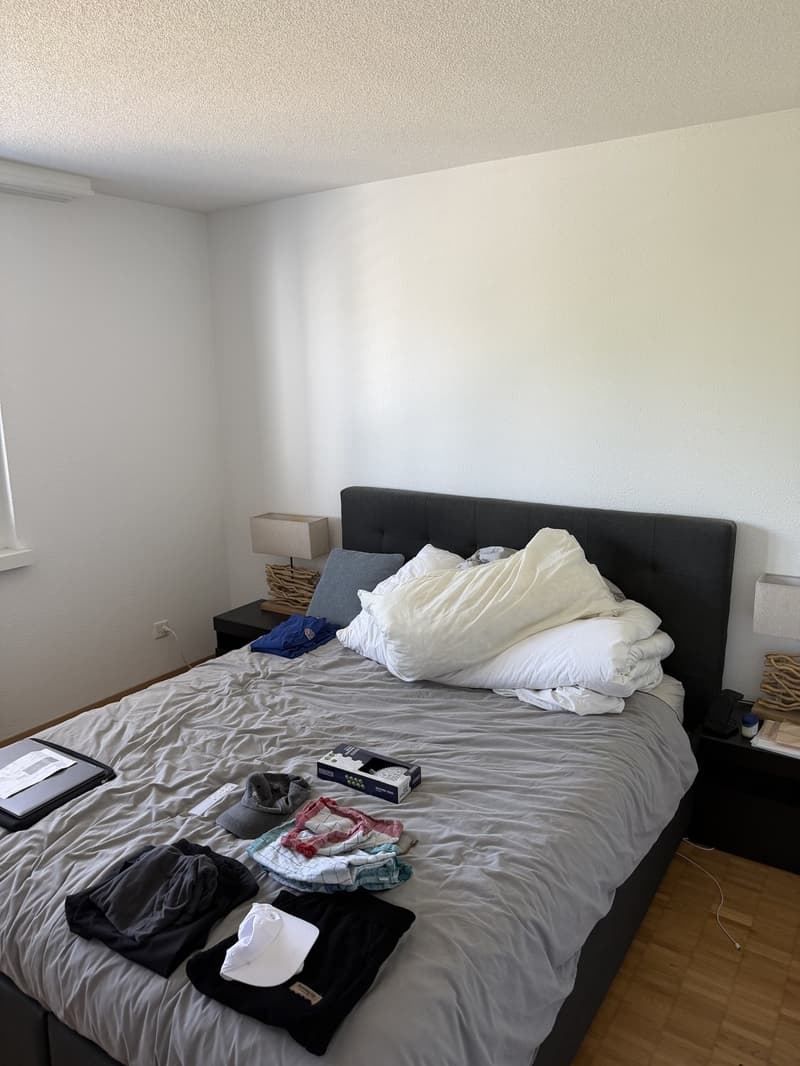 Modern 3.5-room maisonette in Berikon | Fully furnished | Pets allowed (10)