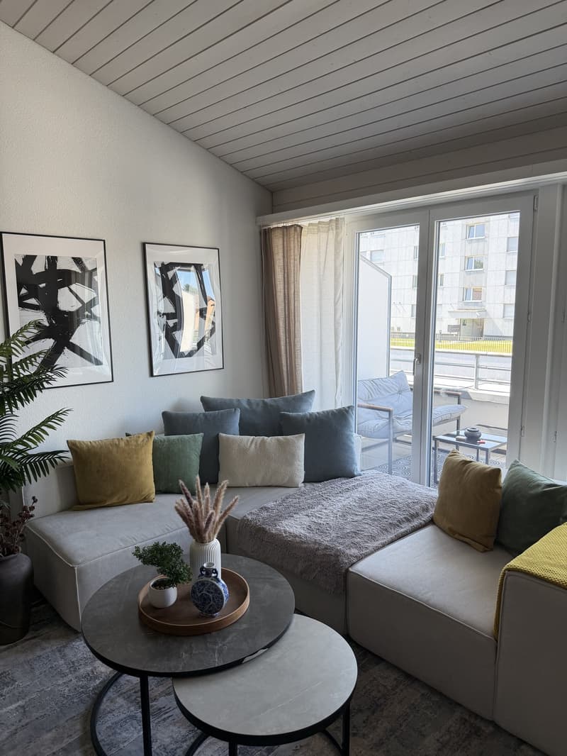 Modern 3.5-room maisonette in Berikon | Fully furnished | Pets allowed (11)