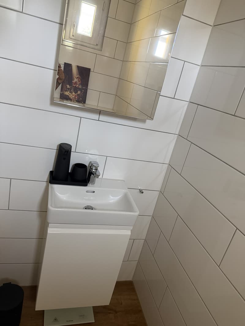 Modern 3.5-room maisonette in Berikon | Fully furnished | Pets allowed (5)