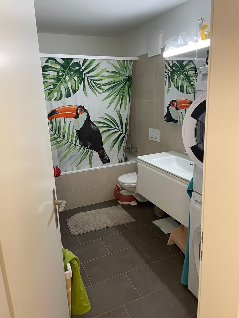 3.5 Room Apartment (5)