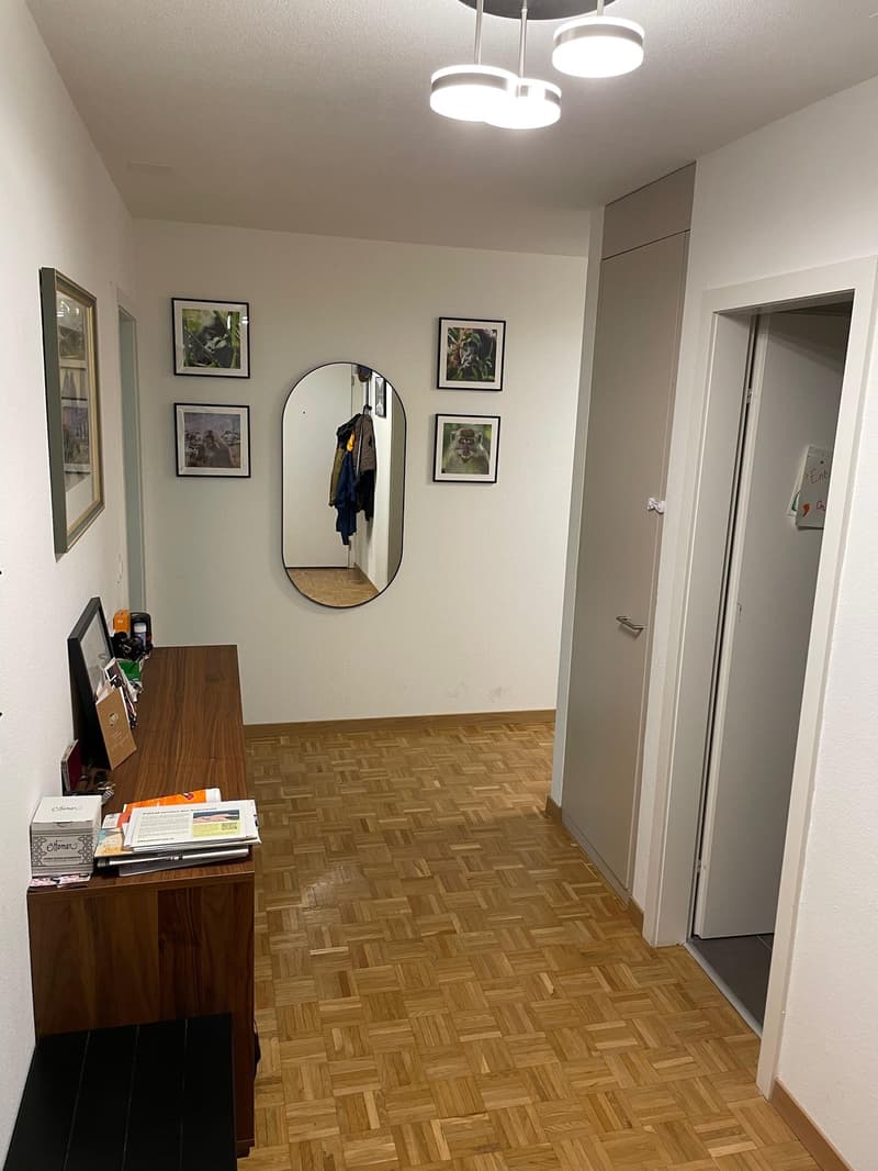 3.5 Room Apartment (1)
