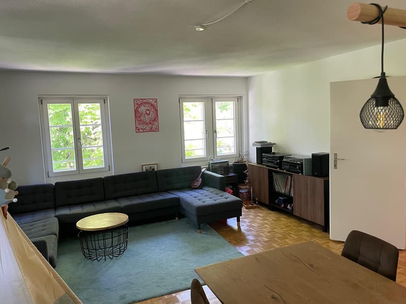 3.5 Room Apartment (9)