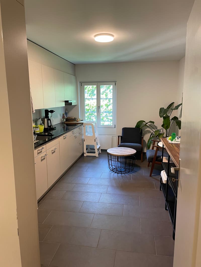 3.5 Room Apartment (3)