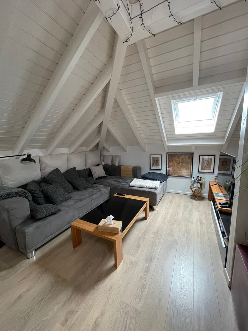 Furnished attic apartment (for 4 months) for sublet (5)
