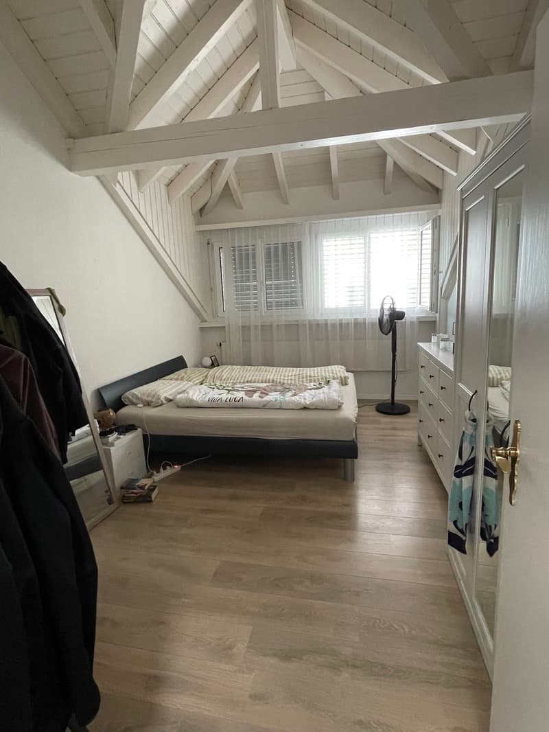 Furnished attic apartment (for 4 months) for sublet (3)