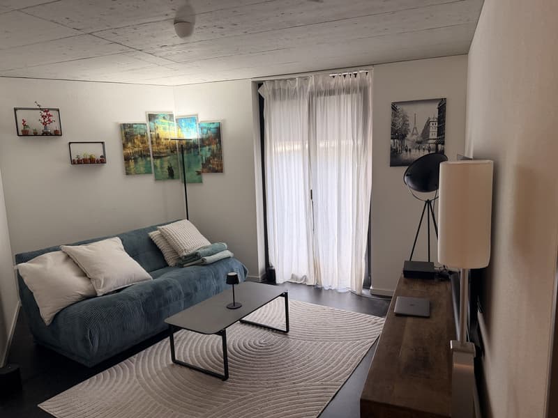 Appartement moderne de 2,5 pièces au rez-de-chaussée (2)