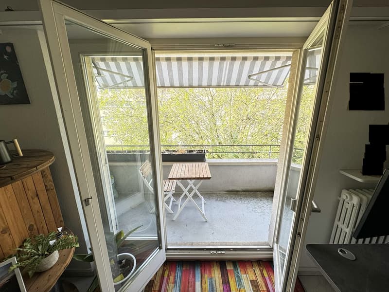 3.5-room apartment on the Rhine with balcony, furnished, fixed-term sublet. (10)