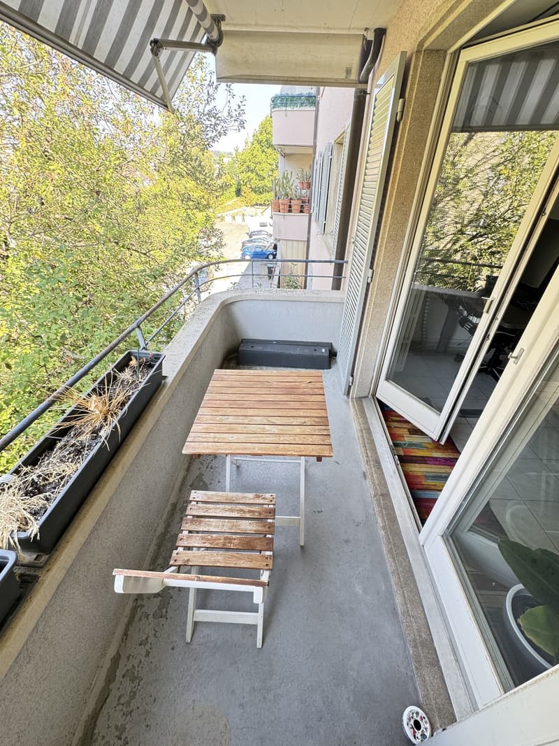 3.5-room apartment on the Rhine with balcony, furnished, fixed-term sublet. (11)