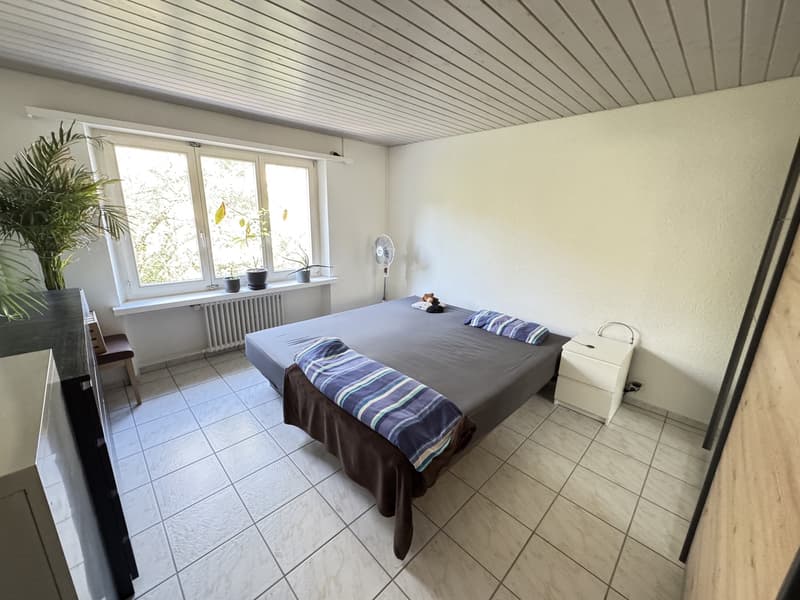 3.5-room apartment on the Rhine with balcony, furnished, fixed-term sublet. (13)