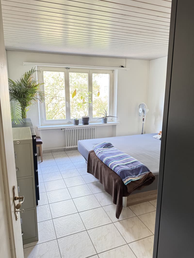3.5-room apartment on the Rhine with balcony, furnished, fixed-term sublet. (12)