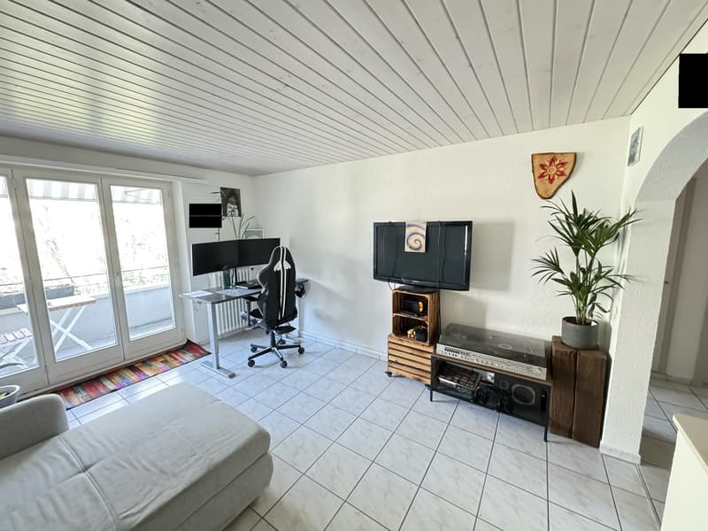 3.5-room apartment on the Rhine with balcony, furnished, fixed-term sublet. (8)