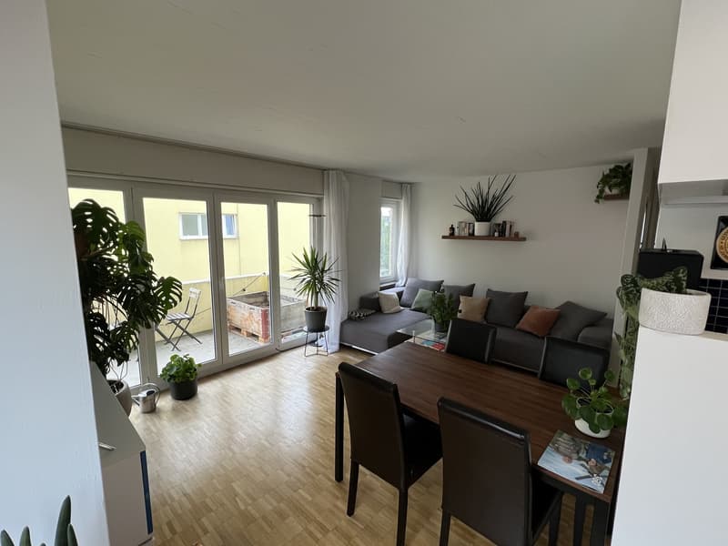 Central 2-room apartment near Hegibachplatz (1)