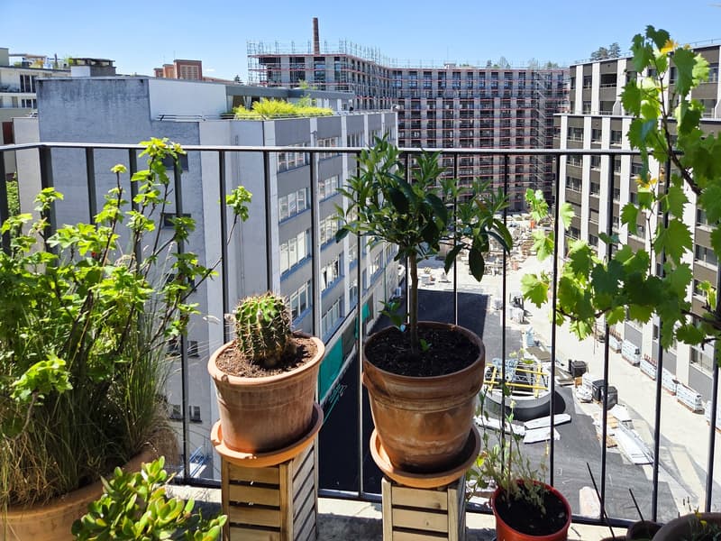 Sublet (mid-October 2026 to December 2027) - Furnished 3-room apartment Fribourg / Pérolles (5)