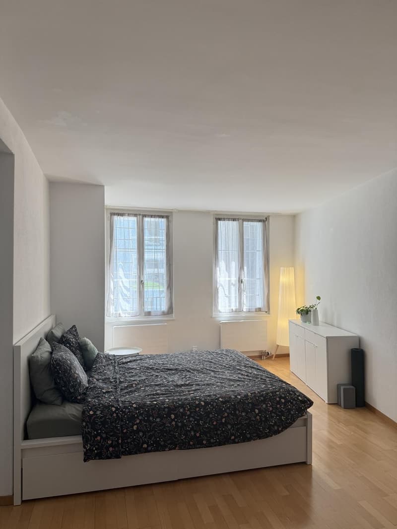2.5-Room Apartment for Rent in Central Lausanne (3)