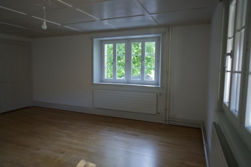 Helles WG-Zimmer im frisch renovierten Bauernhaus in Schwerzenbach "Villa Kunterbunt 2.0" (2)