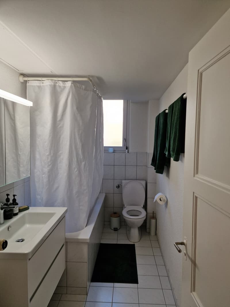 Befristete 3.5-Zimmerwohnung in Wipkingen zur Untermiete (7)