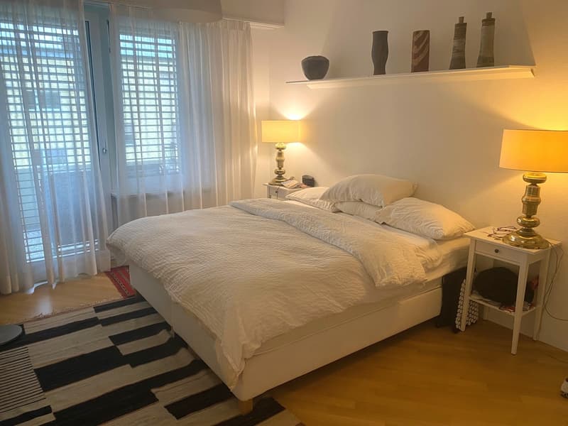 Rent a 3 1/2 apartment in Zollikon (6)