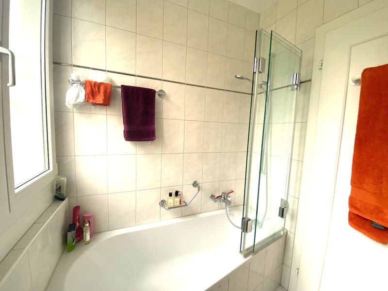 Rent a 3 1/2 apartment in Zollikon (9)