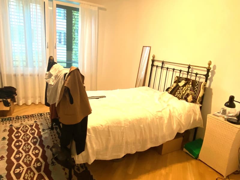 Rent a 3 1/2 apartment in Zollikon (5)