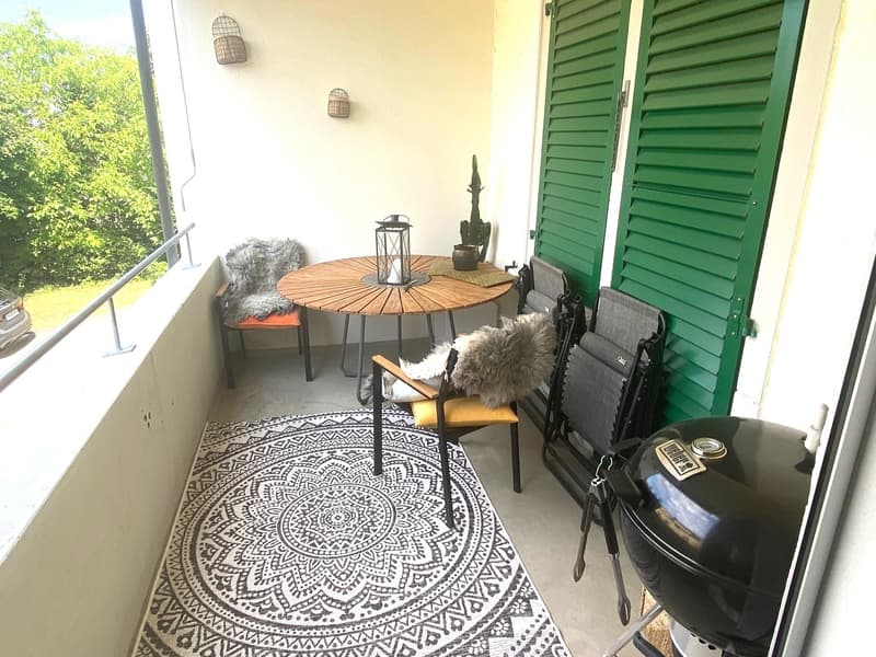 Rent a 3 1/2 apartment in Zollikon (8)