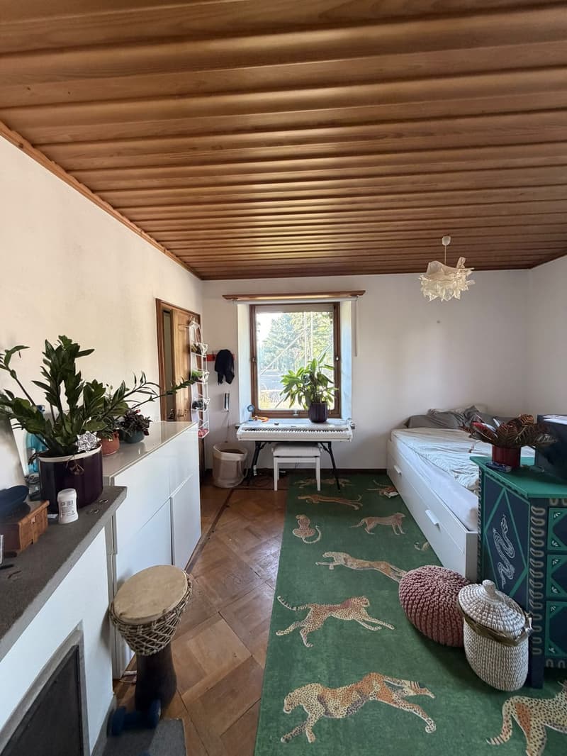 Room in shared apartment with chimney available from September 1 (4)