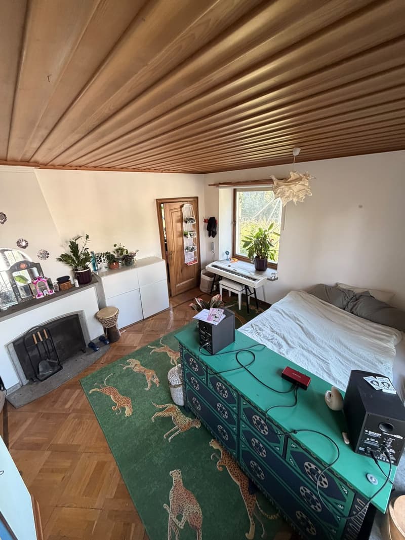 Room in shared apartment with chimney available from September 1 (3)