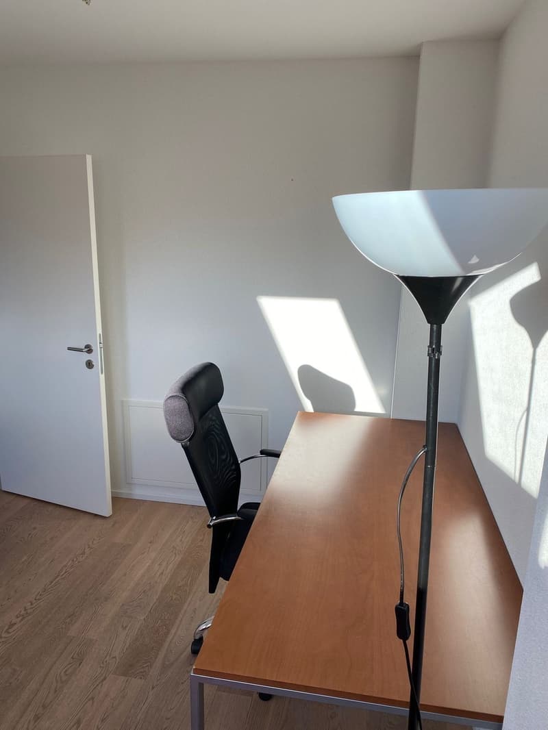 Superbe colocation Schmiede Wiedikon (2)