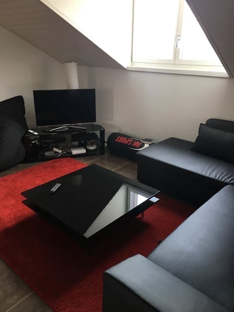 Superbe colocation Schmiede Wiedikon (7)
