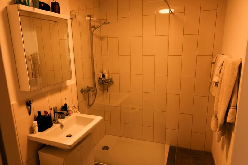 Helle 2.5-Zimmer-Neubauwohnung mit Weitsicht nahe Stettbach (8)