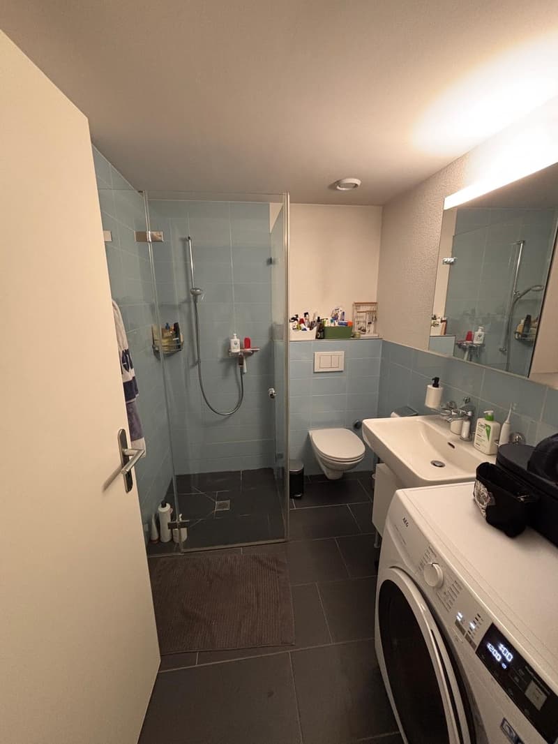 Appartement 1 ½ pièces, 8004 Zürich (4)