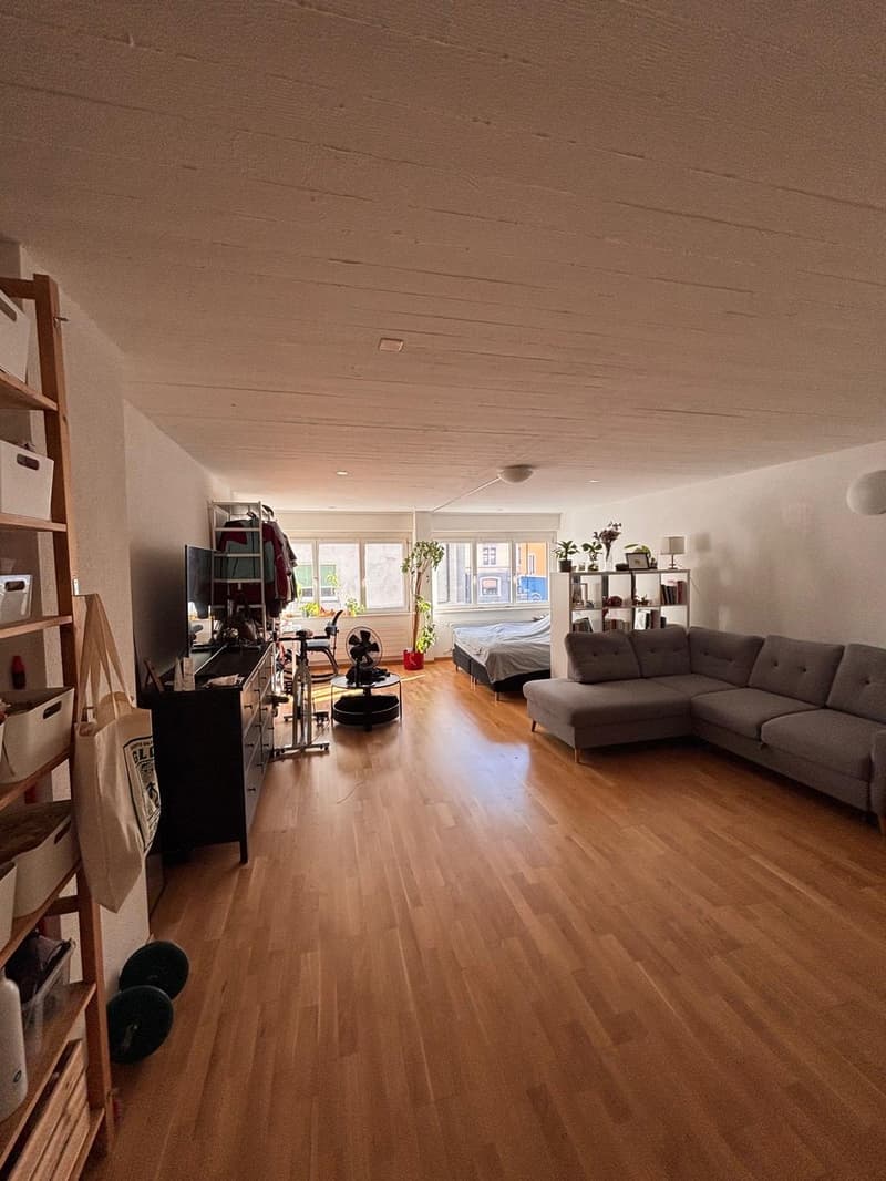 Appartement 1 ½ pièces, 8004 Zürich (3)